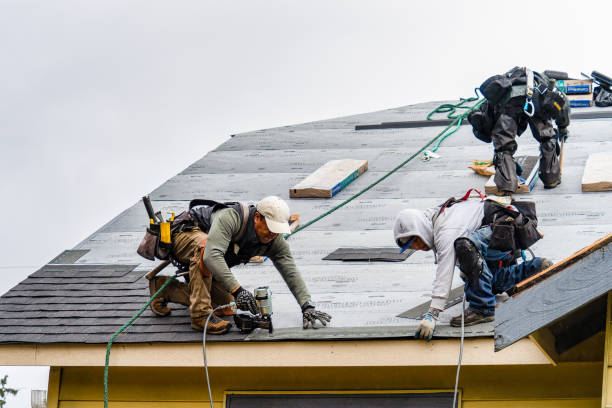 Professional Gutter Installation technician working in Brevard, NC